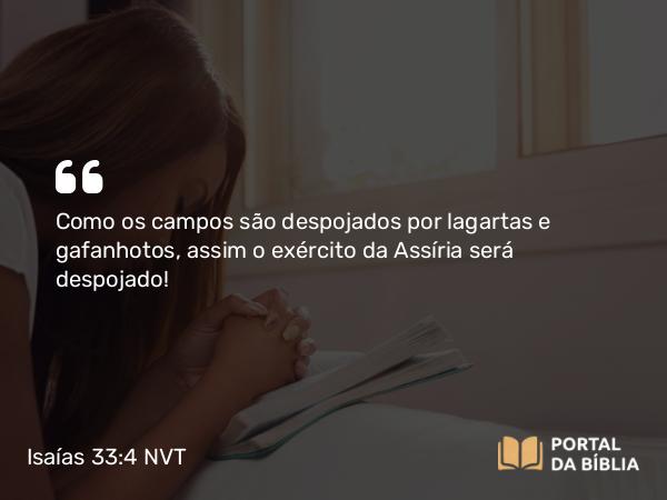 Isaías 33:4 NVT - Como os campos são despojados por lagartas e gafanhotos, assim o exército da Assíria será despojado!