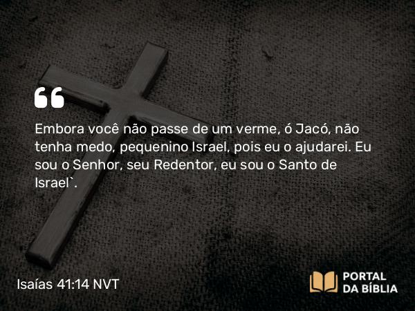 Isaías 41:14 NVT - Embora você não passe de um verme, ó Jacó, não tenha medo, pequenino Israel, pois eu o ajudarei. Eu sou o SENHOR, seu Redentor, eu sou o Santo de Israel’.