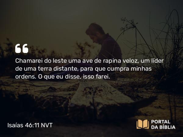 Isaías 46:11 NVT - Chamarei do leste uma ave de rapina veloz, um líder de uma terra distante, para que cumpra minhas ordens. O que eu disse, isso farei.