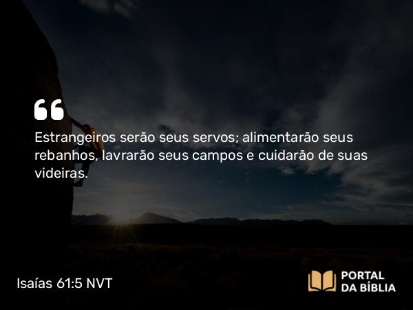 Isaías 61:5 NVT - Estrangeiros serão seus servos; alimentarão seus rebanhos, lavrarão seus campos e cuidarão de suas videiras.