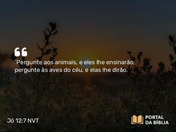 Jó 12:7 NVT - “Pergunte aos animais, e eles lhe ensinarão; pergunte às aves do céu, e elas lhe dirão.