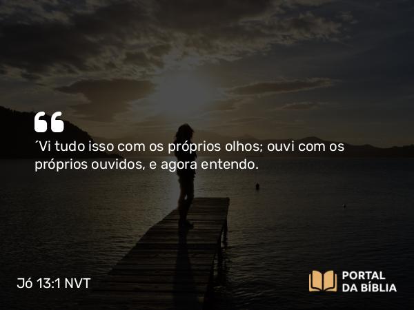 Jó 13:1 NVT - “Vi tudo isso com os próprios olhos; ouvi com os próprios ouvidos, e agora entendo.