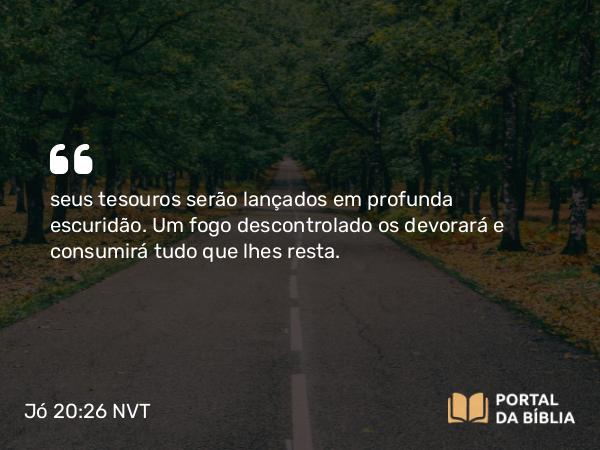 Jó 20:26 NVT - seus tesouros serão lançados em profunda escuridão. Um fogo descontrolado os devorará e consumirá tudo que lhes resta.