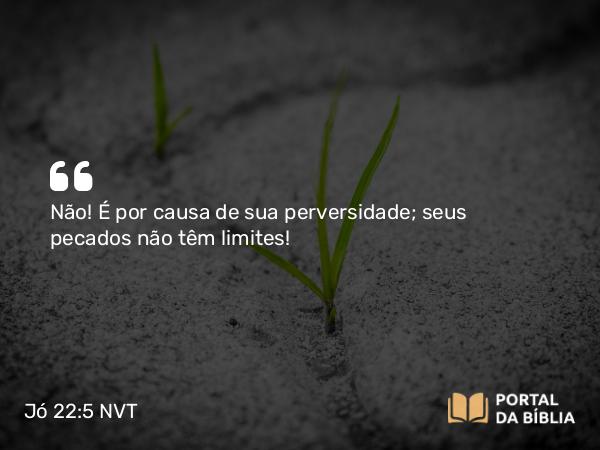 Jó 22:5 NVT - Não! É por causa de sua perversidade; seus pecados não têm limites!