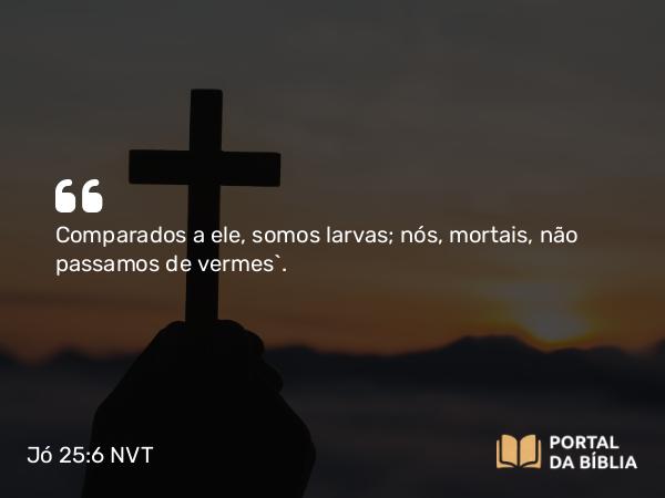 Jó 25:6 NVT - Comparados a ele, somos larvas; nós, mortais, não passamos de vermes”.