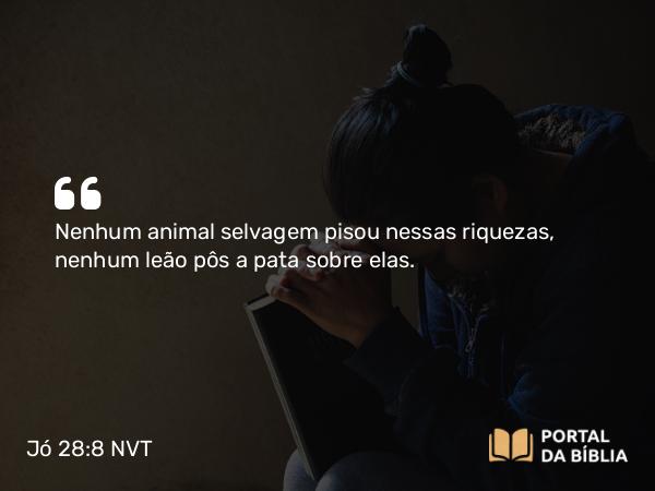 Jó 28:8 NVT - Nenhum animal selvagem pisou nessas riquezas, nenhum leão pôs a pata sobre elas.