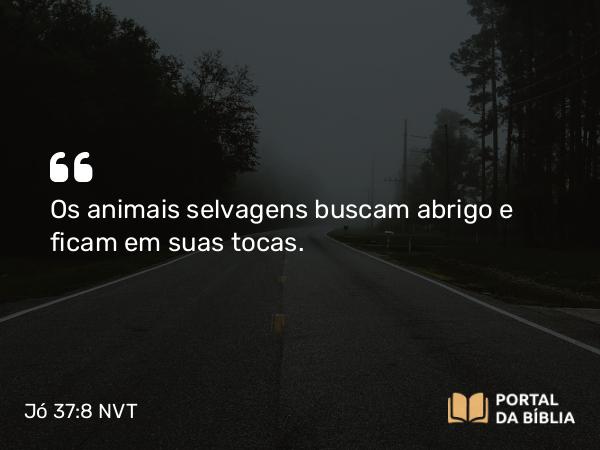 Jó 37:8 NVT - Os animais selvagens buscam abrigo e ficam em suas tocas.