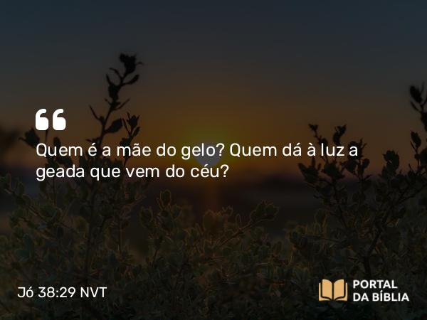 Jó 38:29-30 NVT - Quem é a mãe do gelo? Quem dá à luz a geada que vem do céu?