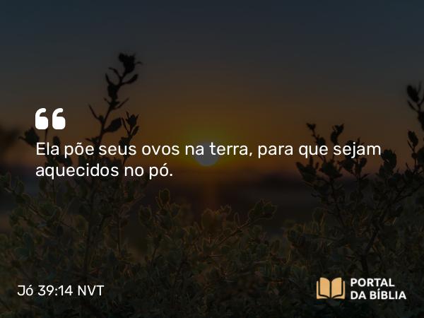 Jó 39:14 NVT - Ela põe seus ovos na terra, para que sejam aquecidos no pó.