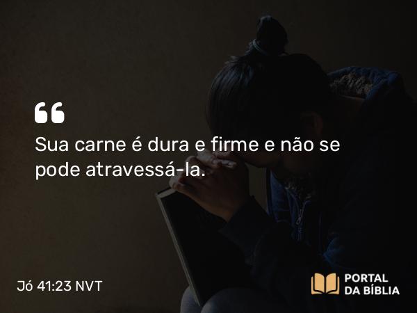 Jó 41:23 NVT - Sua carne é dura e firme e não se pode atravessá-la.