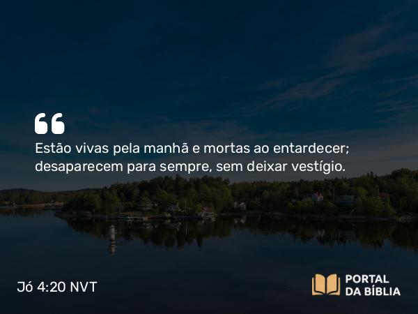 Jó 4:20 NVT - Estão vivas pela manhã e mortas ao entardecer; desaparecem para sempre, sem deixar vestígio.