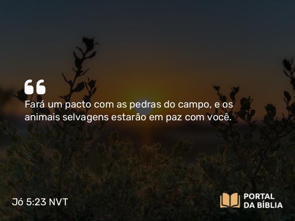 Jó 5:23 NVT - Fará um pacto com as pedras do campo, e os animais selvagens estarão em paz com você.