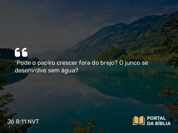 Jó 8:11 NVT - “Pode o papiro crescer fora do brejo? O junco se desenvolve sem água?