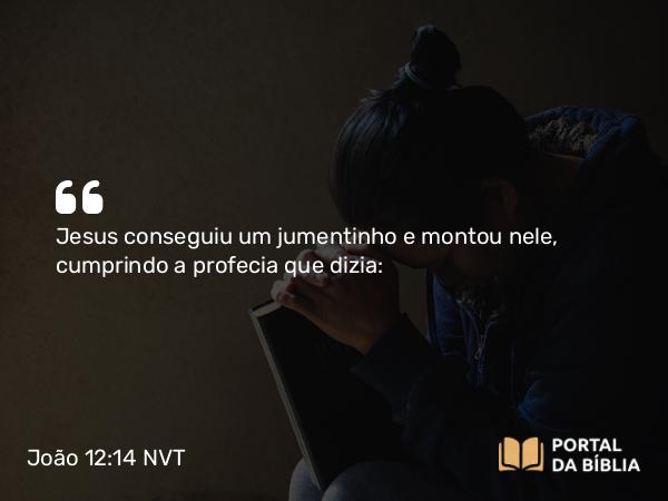 João 12:14 NVT - Jesus conseguiu um jumentinho e montou nele, cumprindo a profecia que dizia: