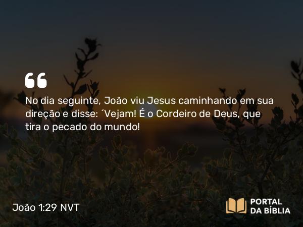 João 1:29 NVT - No dia seguinte, João viu Jesus caminhando em sua direção e disse: “Vejam! É o Cordeiro de Deus, que tira o pecado do mundo!