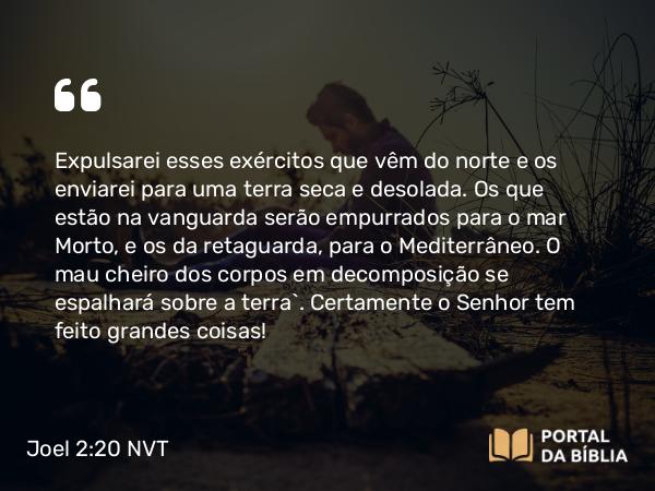 Joel 2:20 NVT - Expulsarei esses exércitos que vêm do norte e os enviarei para uma terra seca e desolada. Os que estão na vanguarda serão empurrados para o mar Morto, e os da retaguarda, para o Mediterrâneo. O mau cheiro dos corpos em decomposição se espalhará sobre a terra”. Certamente o SENHOR tem feito grandes coisas!