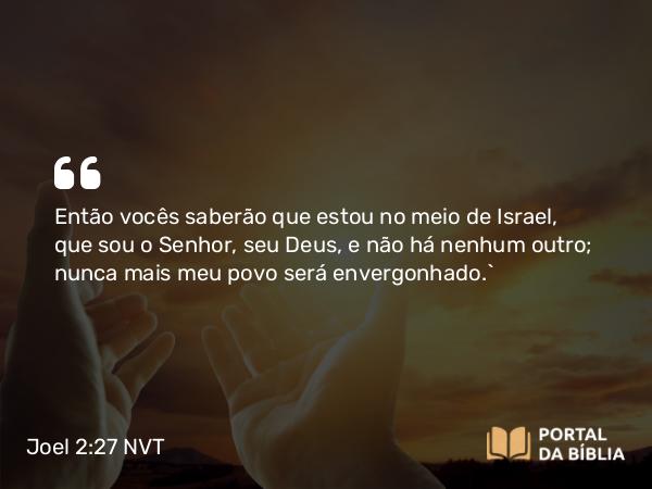 Joel 2:27 NVT - Então vocês saberão que estou no meio de Israel, que sou o SENHOR, seu Deus, e não há nenhum outro; nunca mais meu povo será envergonhado.”