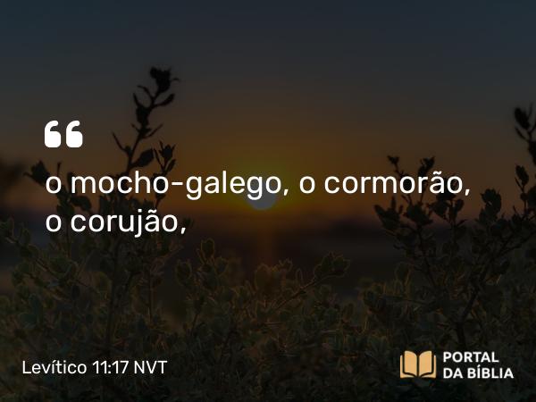 Levítico 11:17 NVT - o mocho-galego, o cormorão, o corujão,