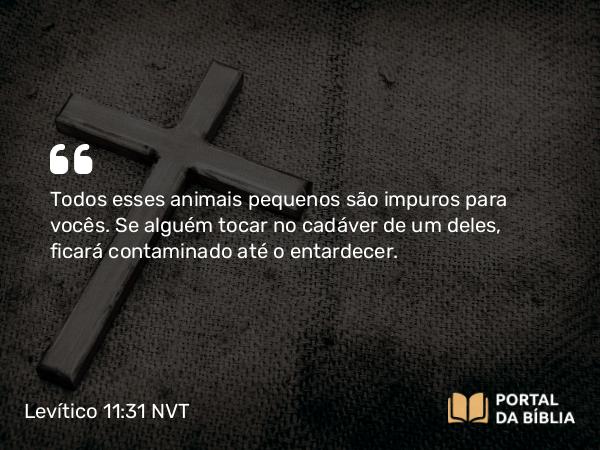 Levítico 11:31 NVT - Todos esses animais pequenos são impuros para vocês. Se alguém tocar no cadáver de um deles, ficará contaminado até o entardecer.