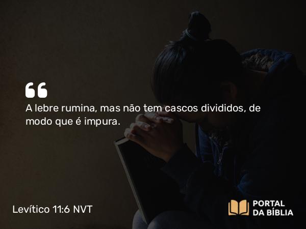 Levítico 11:6 NVT - A lebre rumina, mas não tem cascos divididos, de modo que é impura.