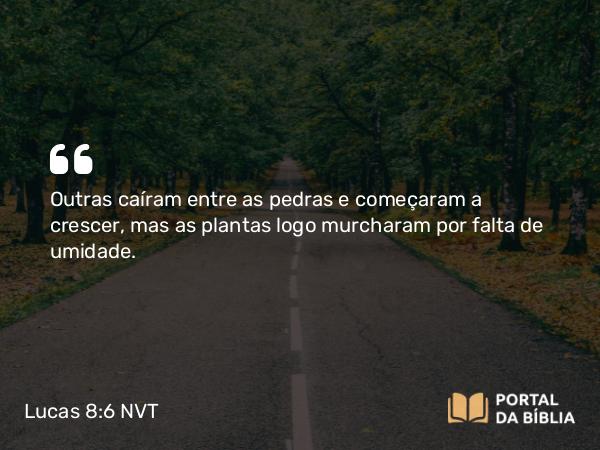 Lucas 8:6 NVT - Outras caíram entre as pedras e começaram a crescer, mas as plantas logo murcharam por falta de umidade.