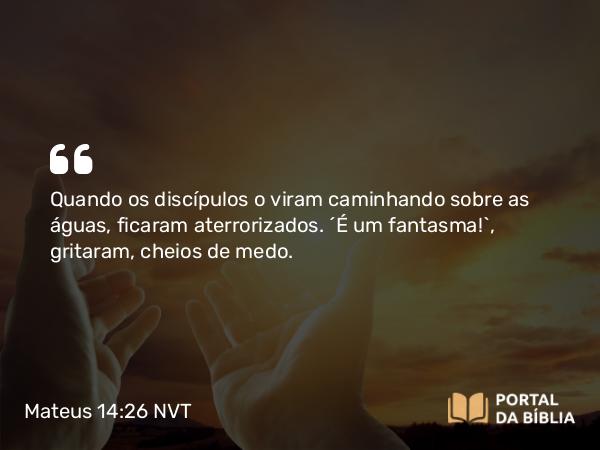 Mateus 14:26 NVT - Quando os discípulos o viram caminhando sobre as águas, ficaram aterrorizados. “É um fantasma!”, gritaram, cheios de medo.