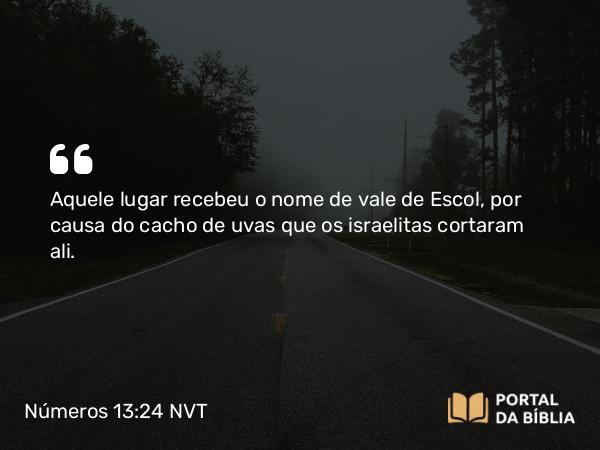 Números 13:24 NVT - Aquele lugar recebeu o nome de vale de Escol, por causa do cacho de uvas que os israelitas cortaram ali.