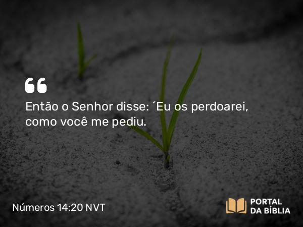 Números 14:20-38 NVT - Então o SENHOR disse: “Eu os perdoarei, como você me pediu.