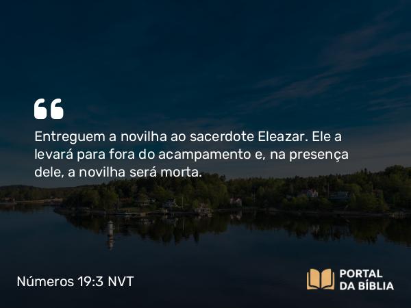 Números 19:3 NVT - Entreguem a novilha ao sacerdote Eleazar. Ele a levará para fora do acampamento e, na presença dele, a novilha será morta.