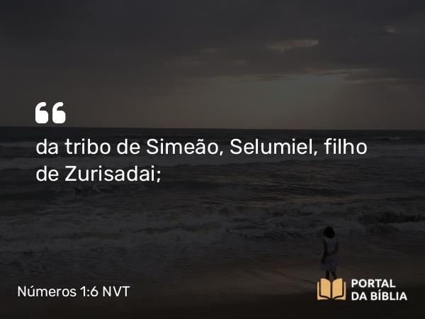 Números 1:6 NVT - da tribo de Simeão, Selumiel, filho de Zurisadai;