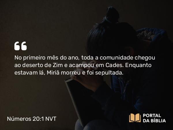 Números 20:1 NVT - No primeiro mês do ano, toda a comunidade chegou ao deserto de Zim e acampou em Cades. Enquanto estavam lá, Miriã morreu e foi sepultada.