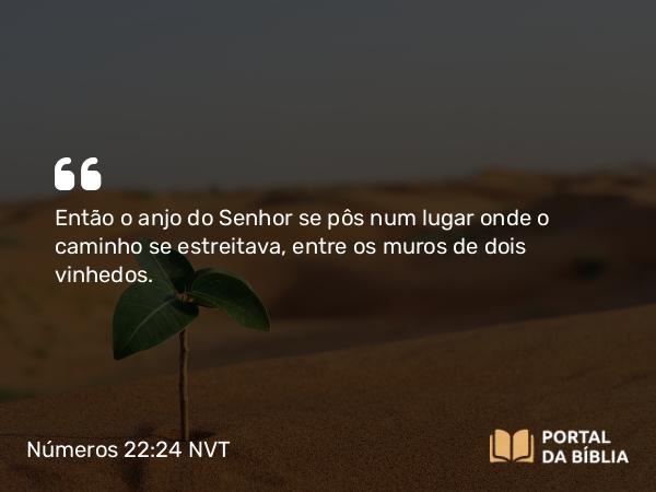 Números 22:24 NVT - Então o anjo do SENHOR se pôs num lugar onde o caminho se estreitava, entre os muros de dois vinhedos.