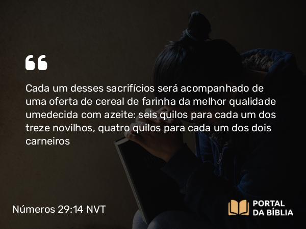 Números 29:14 NVT - Cada um desses sacrifícios será acompanhado de uma oferta de cereal de farinha da melhor quali­dade umedecida com azeite: seis quilos para cada um dos treze novilhos, quatro quilos para cada um dos dois carneiros