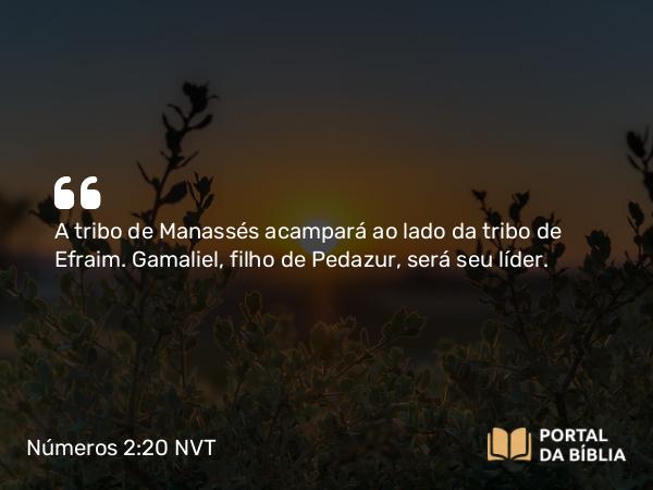 Números 2:20 NVT - A tribo de Manassés acampará ao lado da tribo de Efraim. Gamaliel, filho de Pedazur, será seu líder.