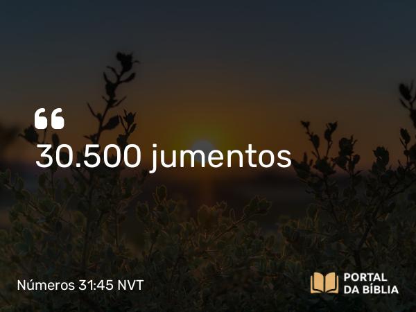 Números 31:45 NVT - 30.500 jumentos