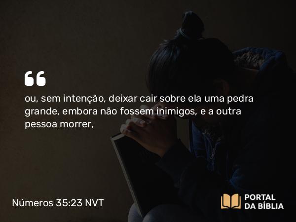 Números 35:23 NVT - ou, sem intenção, deixar cair sobre ela uma pedra grande, embora não fossem inimigos, e a outra pessoa morrer,