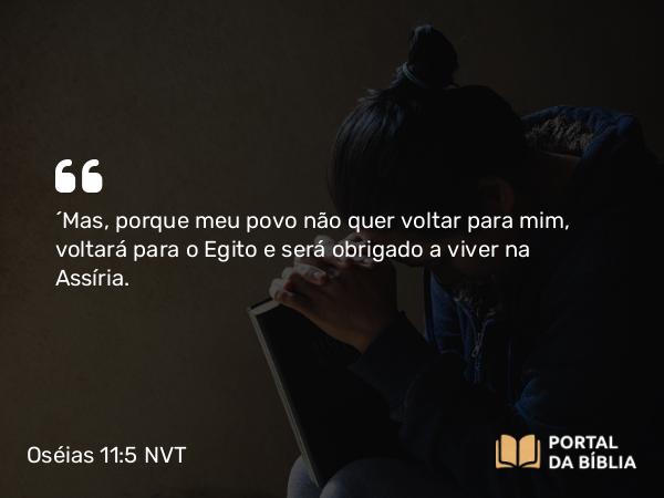 Oséias 11:5 NVT - “Mas, porque meu povo não quer voltar para mim, voltará para o Egito e será obrigado a viver na Assíria.