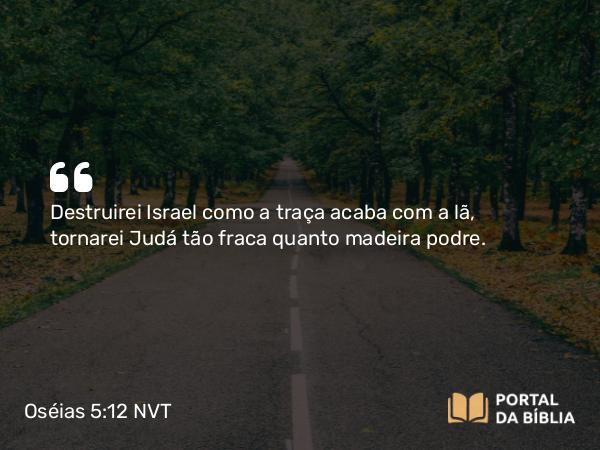 Oséias 5:12 NVT - Destruirei Israel como a traça acaba com a lã, tornarei Judá tão fraca quanto madeira podre.