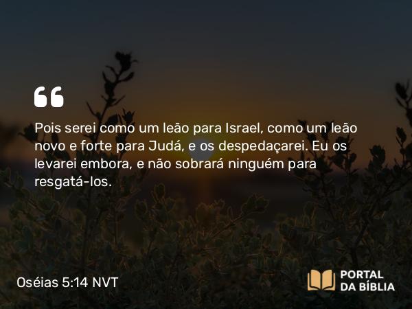 Oséias 5:14 NVT - Pois serei como um leão para Israel, como um leão novo e forte para Judá, e os despedaçarei. Eu os levarei embora, e não sobrará ninguém para resgatá-los.