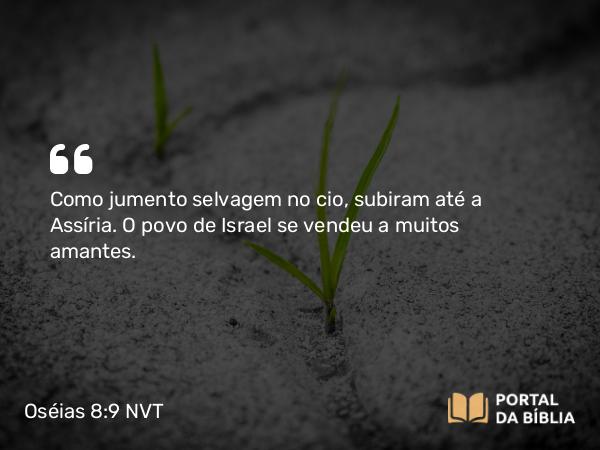 Oséias 8:9 NVT - Como jumento selvagem no cio, subiram até a Assíria. O povo de Israel se vendeu a muitos amantes.