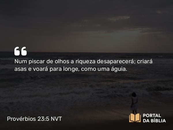 Provérbios 23:5 NVT - Num piscar de olhos a riqueza desaparecerá; criará asas e voará para longe, como uma águia.