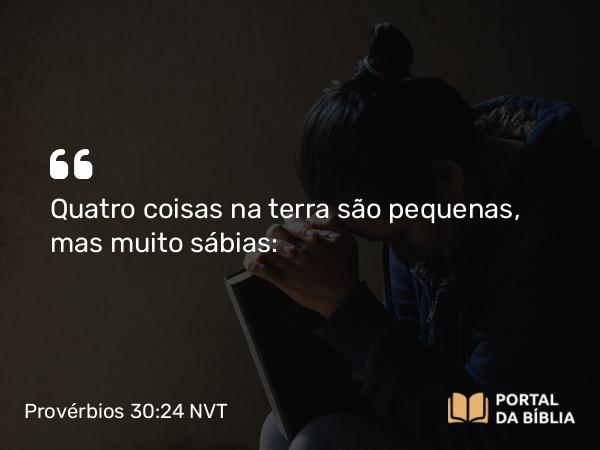 Provérbios 30:24 NVT - Quatro coisas na terra são pequenas, mas muito sábias: