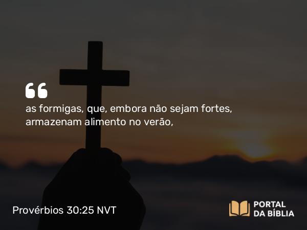 Provérbios 30:25 NVT - as formigas, que, embora não sejam fortes, armazenam alimento no verão,