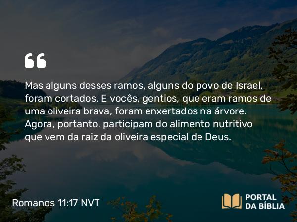 Romanos 11:17 NVT - Mas alguns desses ramos, alguns do povo de Israel, foram cortados. E vocês, gentios, que eram ramos de uma oliveira brava, foram enxertados na árvore. Agora, portanto, participam do alimento nutritivo que vem da raiz da oliveira especial de Deus.