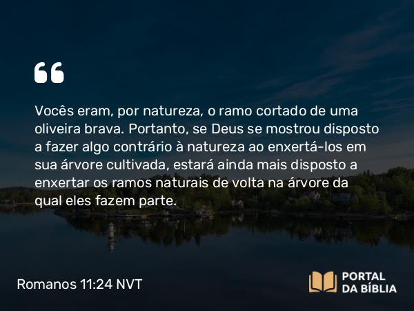 Romanos 11:24 NVT - Vocês eram, por natureza, o ramo cortado de uma oliveira brava. Portanto, se Deus se mostrou disposto a fazer algo contrário à natureza ao enxertá-los em sua árvore cultivada, estará ainda mais disposto a enxertar os ramos naturais de volta na árvore da qual eles fazem parte.