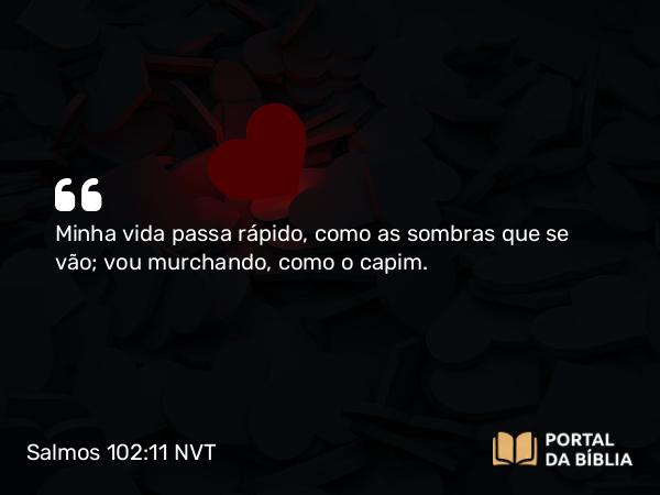 Salmos 102:11 NVT - Minha vida passa rápido, como as sombras que se vão; vou murchando, como o capim.