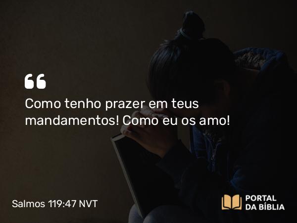 Salmos 119:47 NVT - Como tenho prazer em teus mandamentos! Como eu os amo!