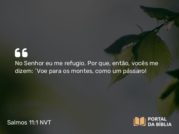 Salmos 11:1 NVT - No SENHOR eu me refugio. Por que, então, vocês me dizem: “Voe para os montes, como um pássaro!