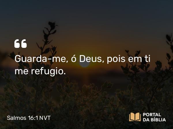 Salmos 16:1 NVT - Guarda-me, ó Deus, pois em ti me refugio.