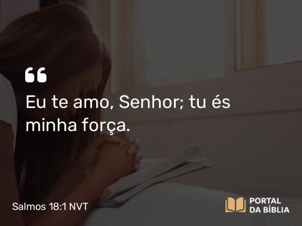 Salmos 18:1-50 NVT - Eu te amo, SENHOR; tu és minha força.